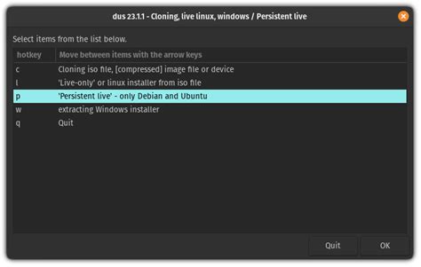 Image result for Linux Live Persistent
