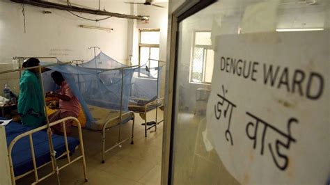 Dengue cases surge in Bihar, 55 reported in last 24 hours - IBTimes India