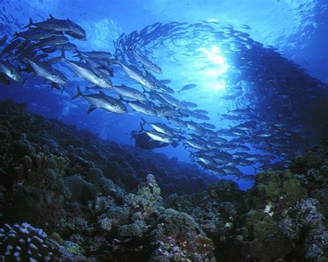 THE BEST Places to Visit in Kavieng (2026) - Must-See Attractions