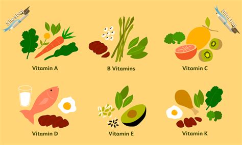What Is Vitamin - General Knowledge Questions