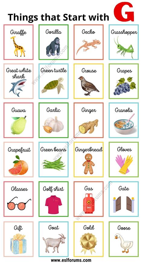 Things That Start With G For Kids