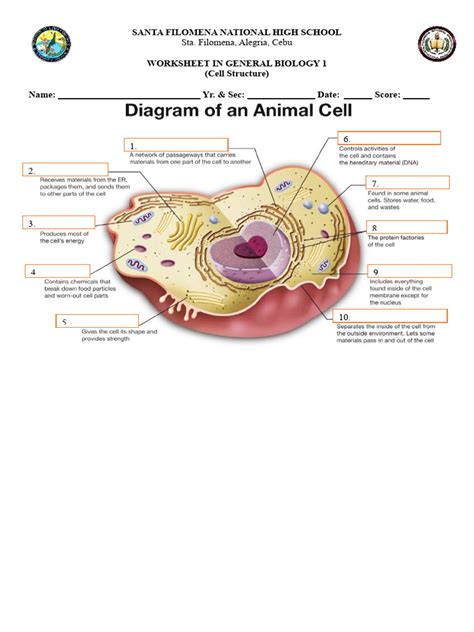 Cell Structure Worksheet 的图像结果