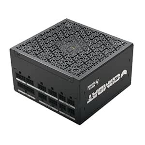 Super Flower Combat FG 850W 80+ Gold, Full Modular, ATX 3.1 / PCIe 5.0 ...