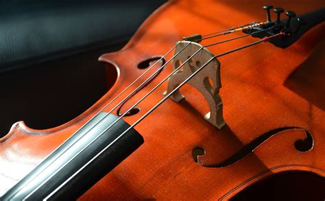 Image result for String Instruments Cello