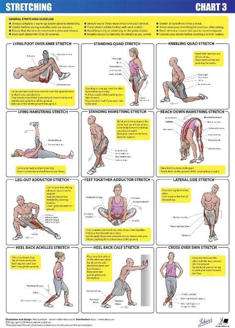 Stretching Exercise Chart 的图像结果