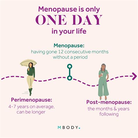 Perimenopause & Menopause: What's the Difference? — MBody