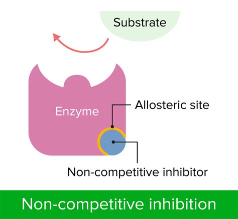 Noncompetitive Vs Uncompetitive Inhibition