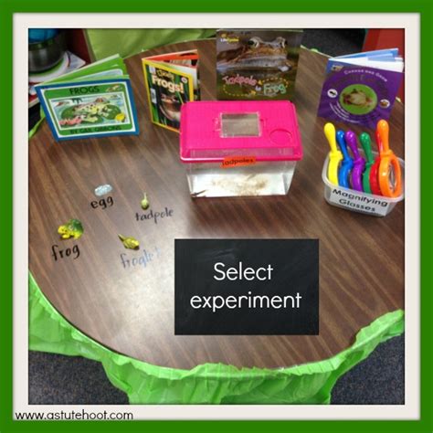 Image result for Science Fair Tips