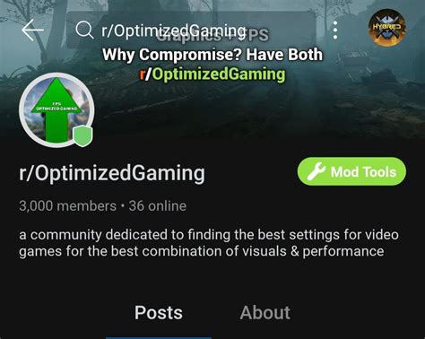 Best Minecraft Graphics Settings Java 的图像结果