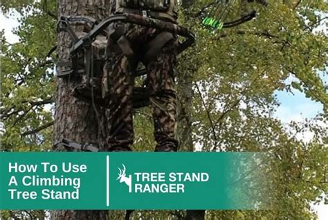 Image result for Using Summit Climbing Tree Stand