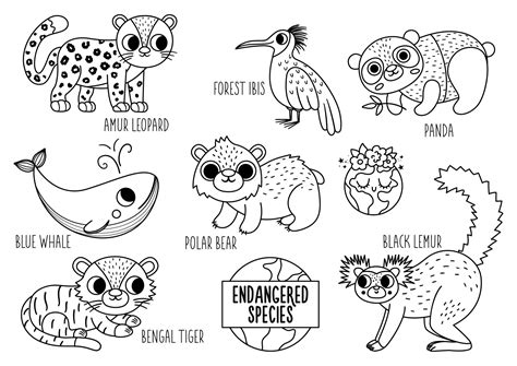 Cute Endangered Species