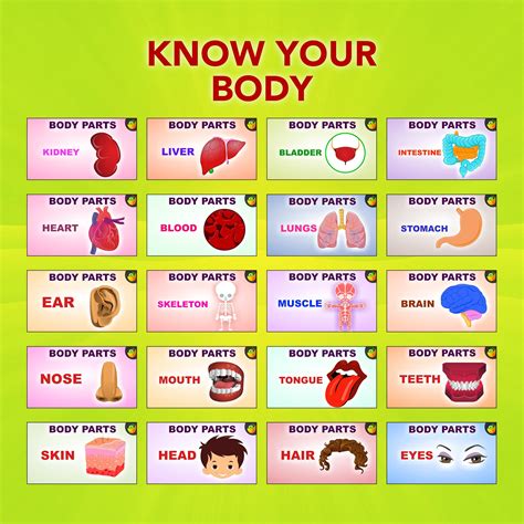 Know Your Body-Tamil – Magicbox