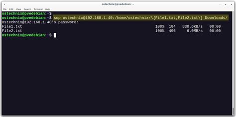 Transfer File Using SCP to Host 的图像结果