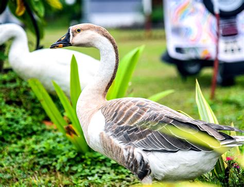 Our Service – Rejoice Resort