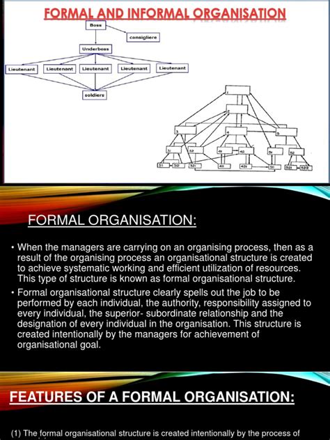 Informal Organization Structure 的图像结果