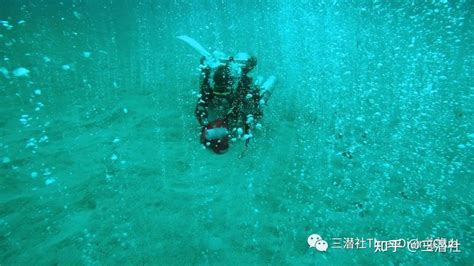 一江分两岸，水下有乾坤 ——重庆首次内河水下考古取得重要收获 - 重庆考古