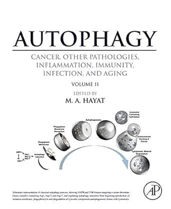 Autophagy: Cancer, Other Pathologies, Inflammation, Immunity, Infection ...