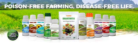 Teamex Retail Limited