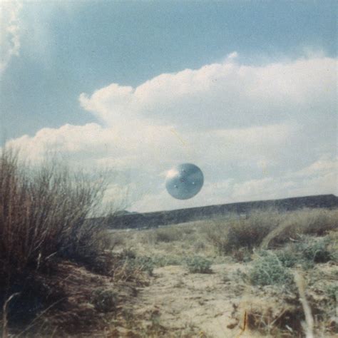 The Bambi Doe Leak: The Evidence Is In – But What Does It MEAN? - Truth or Fiction