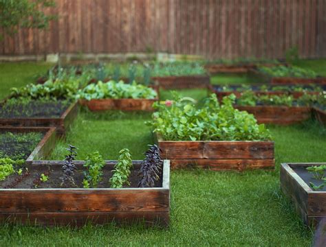 Image result for Crop Rotation