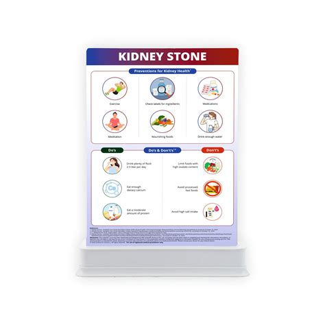 Kidney Stone : 2 Slides Patient Leaflet Tray – SMS Scientific Products ...