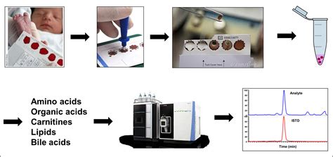 Institute of Bioinformatics