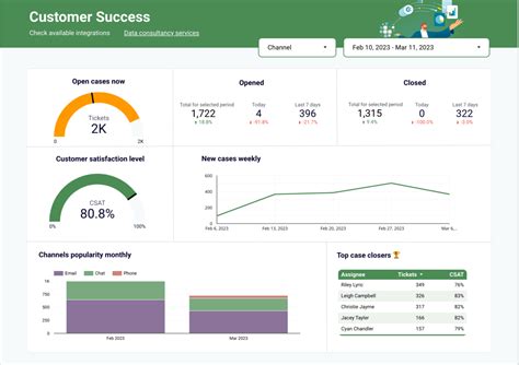Customer Data Report 的图像结果