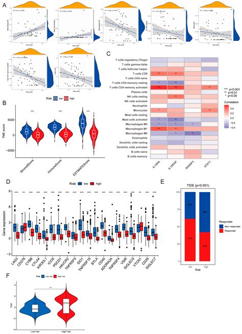 Molecular Characterization and Establishment of a Prognostic Model ...