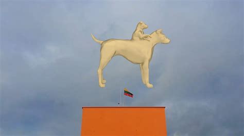 Two Headed Dog Vladimir Demikhov