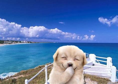 ace123 app download apk v1.7.4