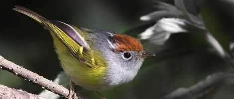 FACILITATE CSR ACTIVITIES