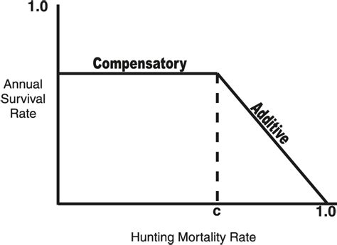 Image result for Additive vs Compensatory Mortality