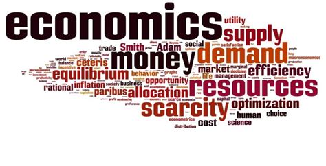 Economics Using Python 的图像结果