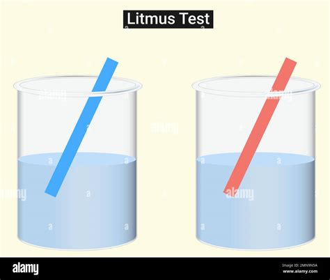 Litmus Test Meaning