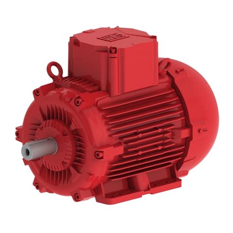 W22Xdb 1.5 kW 6P 100L 3Ph 550/950 V 50 Hz IC411 - TEFC - B3T | W22Xdb ...