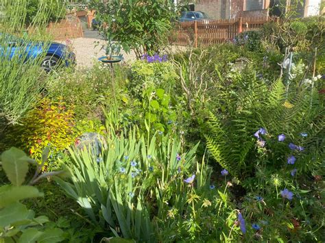 Demonstration of Mediumship with Anji Wylde , 1 Holly Street ...