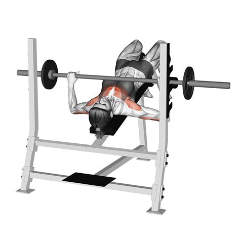 Barbell Decline Bench Press: Benefits, Muscles Worked, and More ...