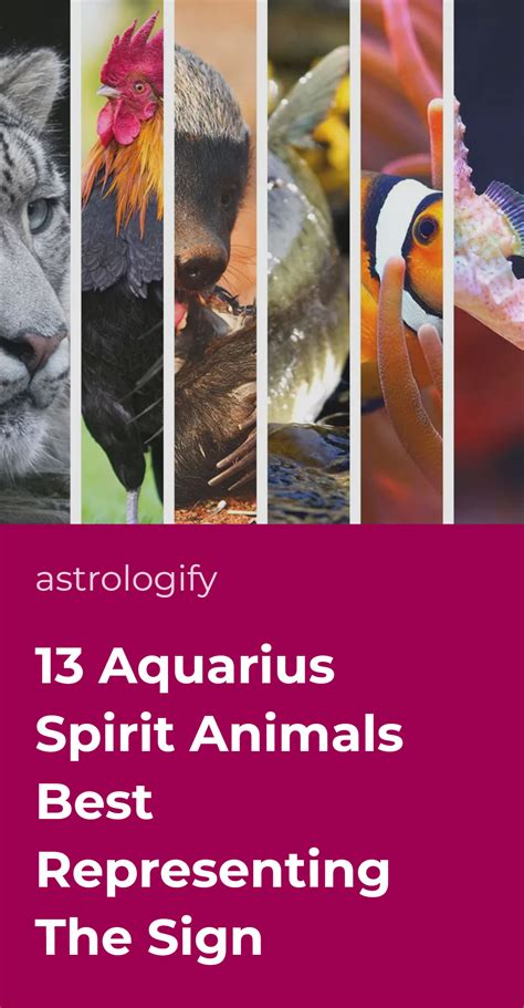 13 Aquarius Spirit Animals Best Representing The Sign • Astrologify