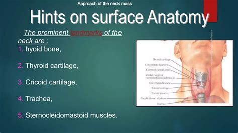 Neck mass differential diagnosis | PPTX