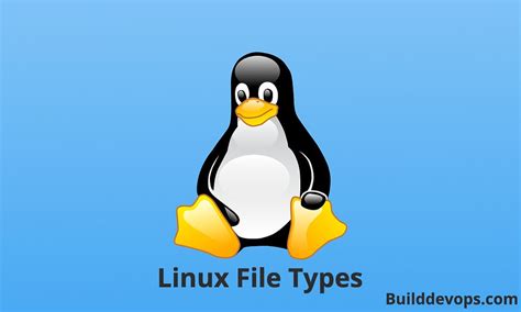 What Is Linux File 的图像结果