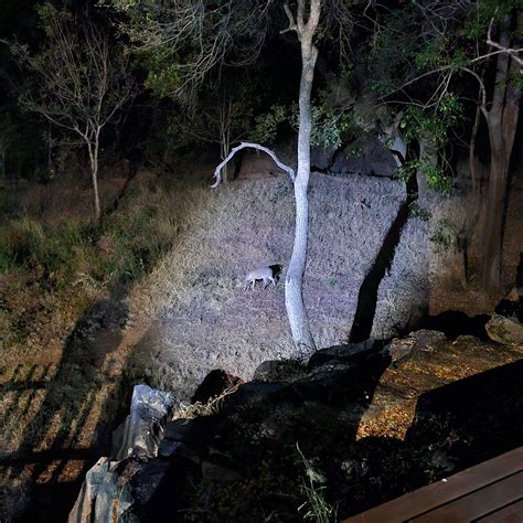 BLYDE RIVER CABINS (Hoedspruit) - Guesthouse Reviews, Photos, Rate ...