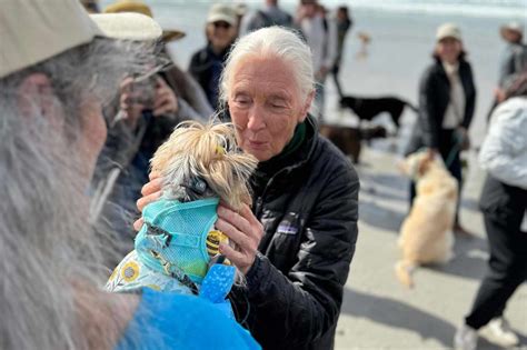 They All Came for Me and It Felt Like They Were Saying Thank You: Jane ...