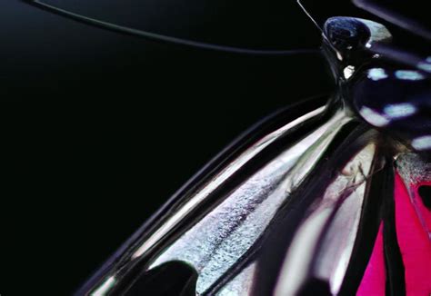 Image result for Butterfly Leg Work Tutorial