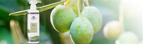 Buy Devinez Olive Cold Pressed Oil (Jaitun Ka Tel), 250ml (NABL & IFRA ...