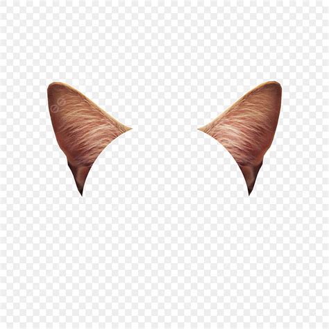 Cat Ears Vector