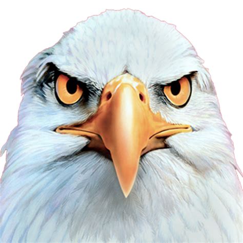 About Goldberg & Osborne