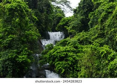 Mayabi Waterfall 3