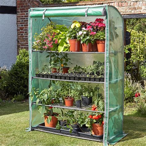 Buy Wide 4 tier growhouse with cover: Delivery by Waitrose Garden