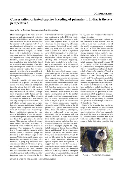 Image result for Primates Breeding