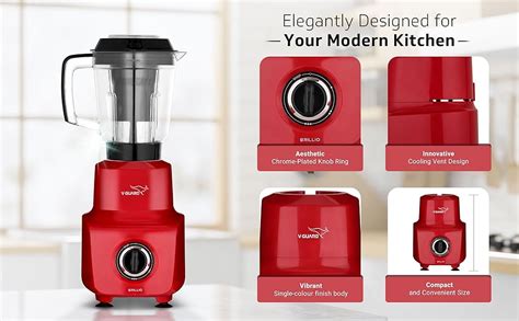 Buy V-Guard Brillio 750 Watt Juicer Mixer Grinder, 3 Year Motor ...